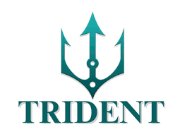 Xtra Max Allocation Logo